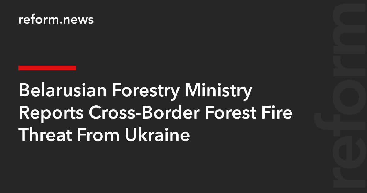 Belarusian Forestry Ministry Reports Cross-Border Forest Fire Threat From Ukraine