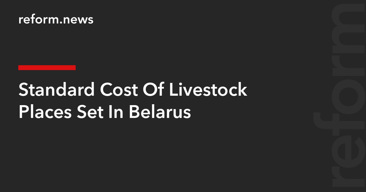 Standard Cost Of Livestock Places Set In Belarus