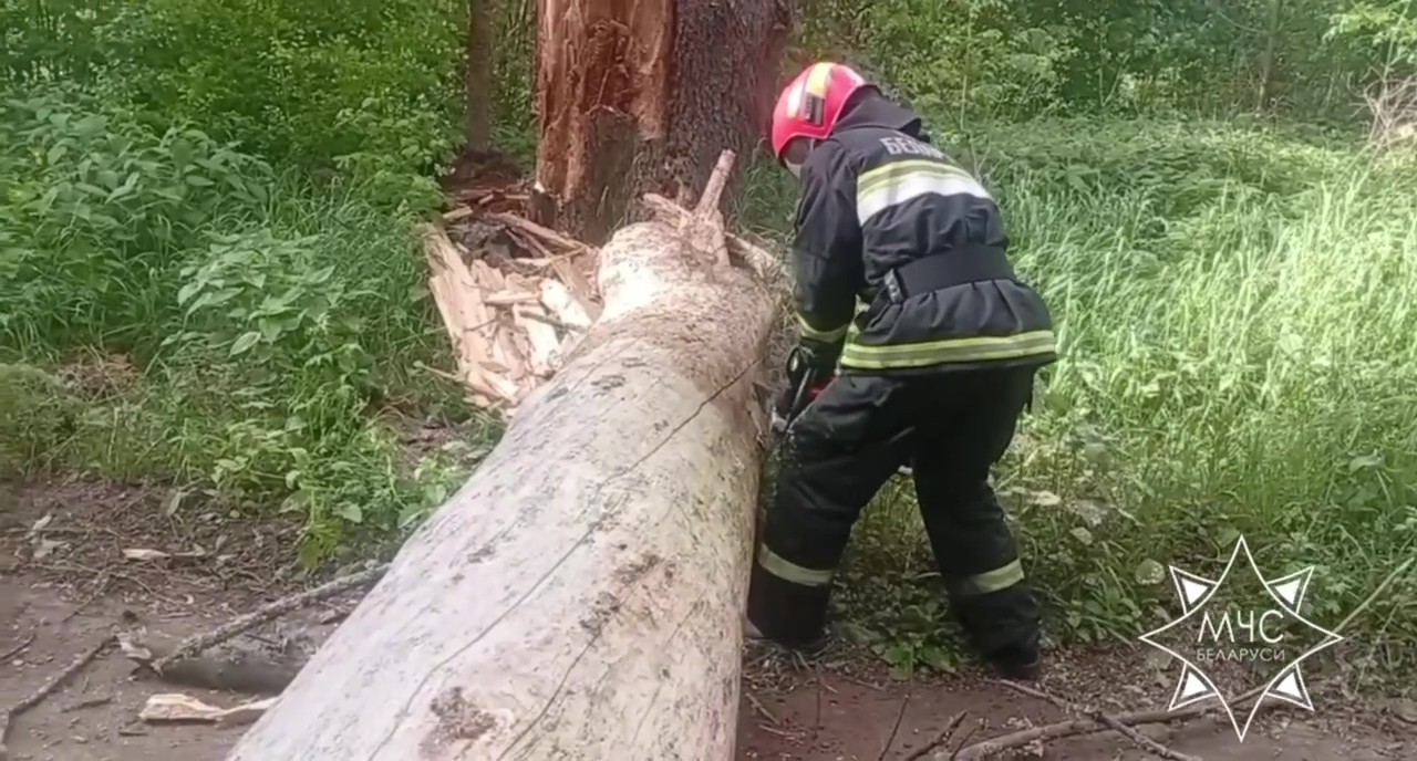 МЧС опубликовало статистику непогоды
