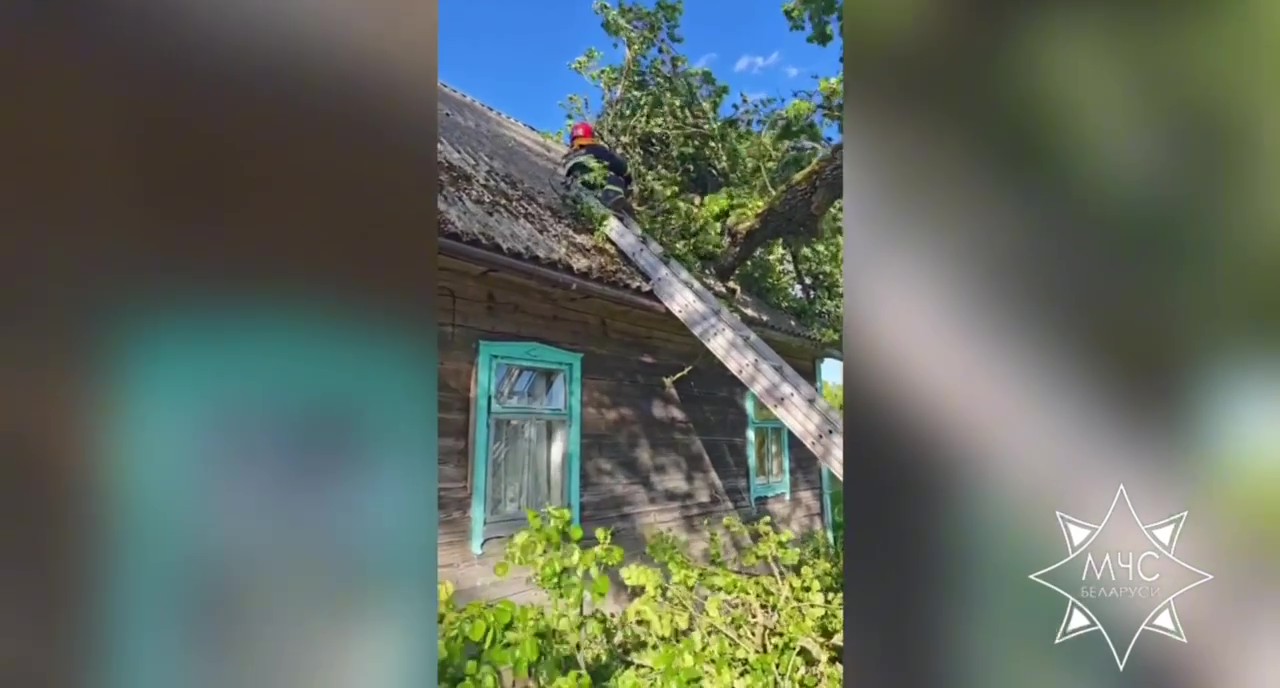 МЧС опубликовало статистику непогоды