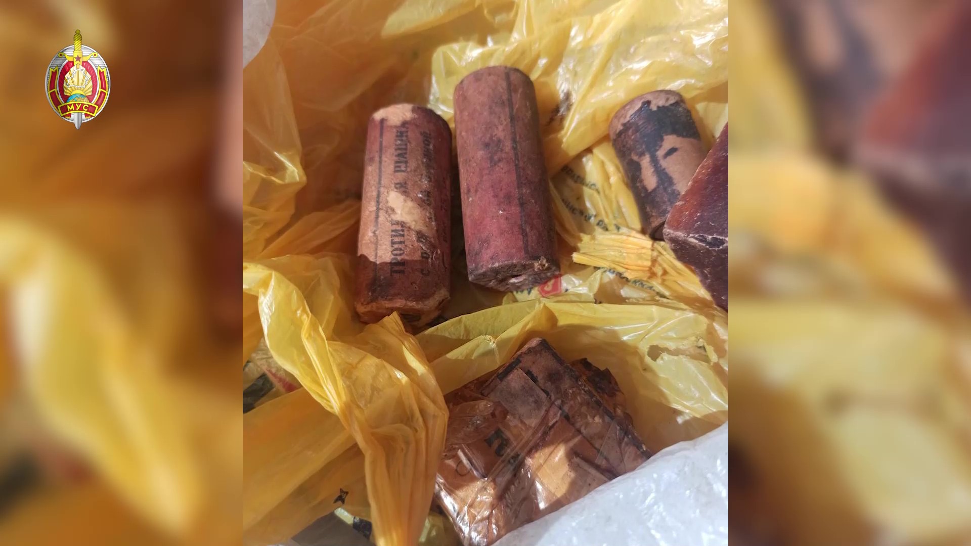 Гранаты и взрывчатку изъяли у жителя Могилева