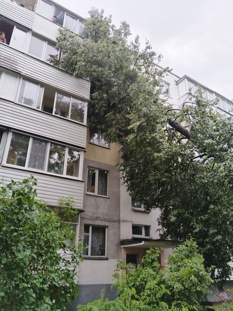 14 населенных пунктов в Беларуси пострадали в результате прохождения грозового фронта
