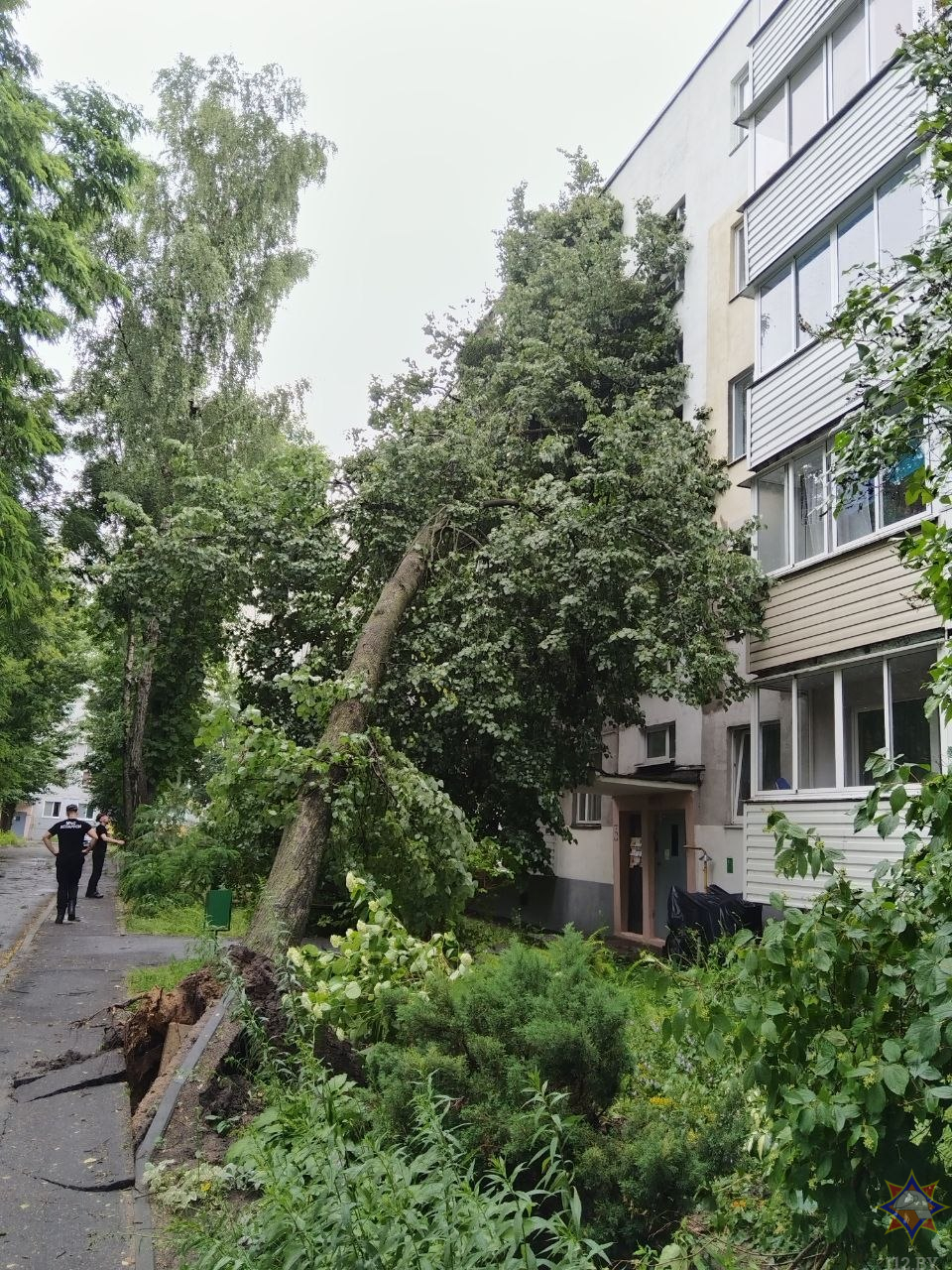 14 населенных пунктов в Беларуси пострадали в результате прохождения грозового фронта