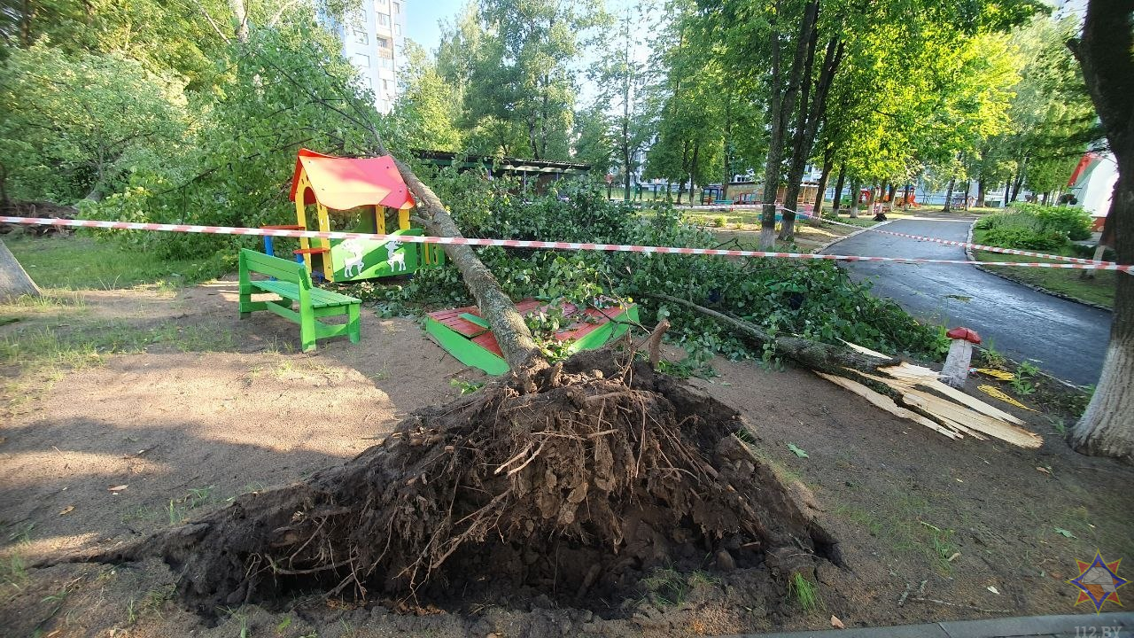 14 населенных пунктов в Беларуси пострадали в результате прохождения грозового фронта