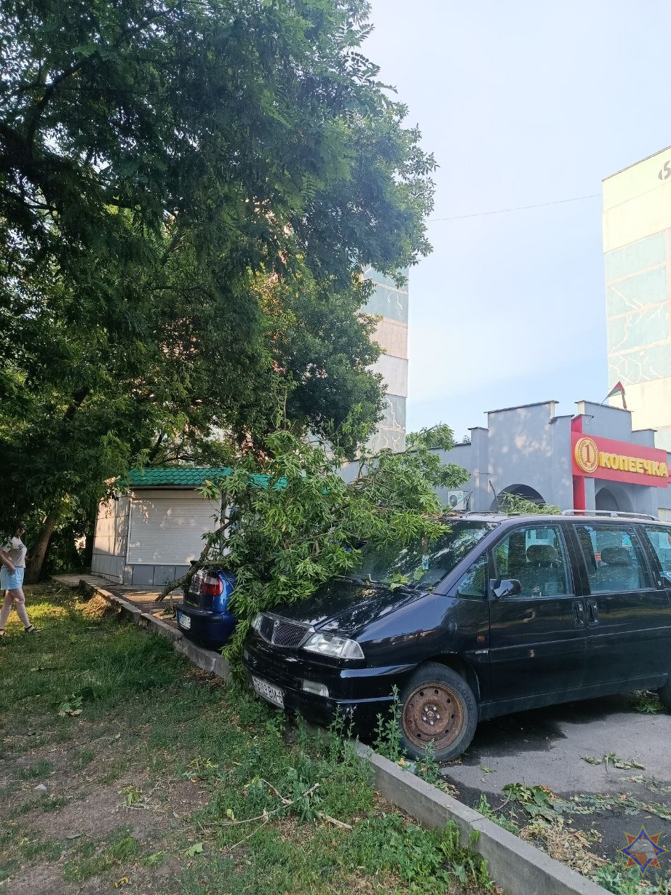 14 населенных пунктов в Беларуси пострадали в результате прохождения грозового фронта