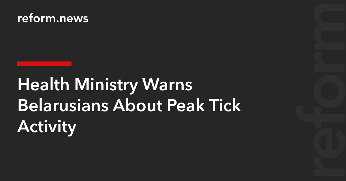 Health Ministry Warns Belarusians About Peak Tick Activity