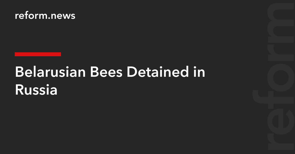 Belarusian Bees Detained in Russia