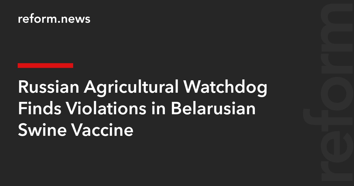 Russian Agricultural Watchdog Finds Violations in Belarusian Swine Vaccine