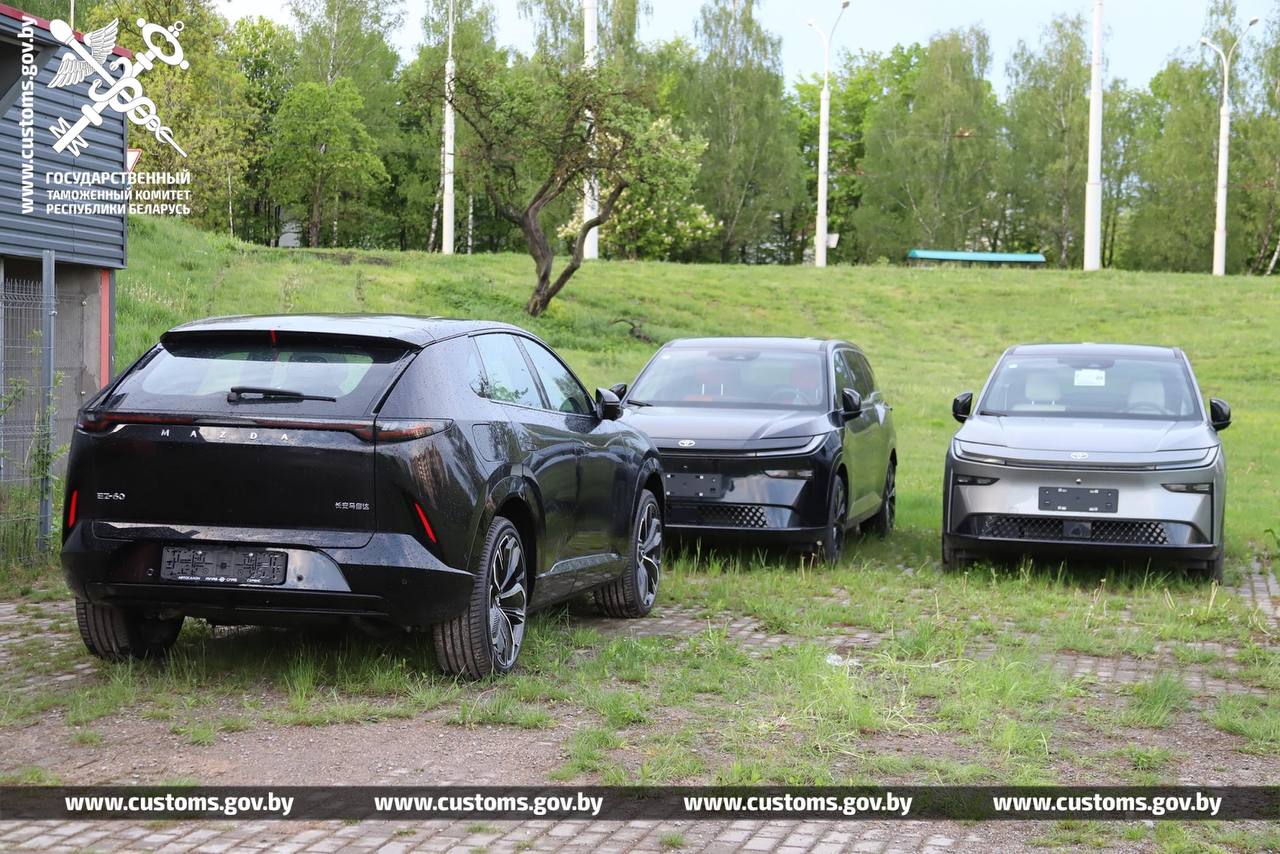 Таможня раскрыла серую схему импорта электромобилей. Возбуждены уголовные дела