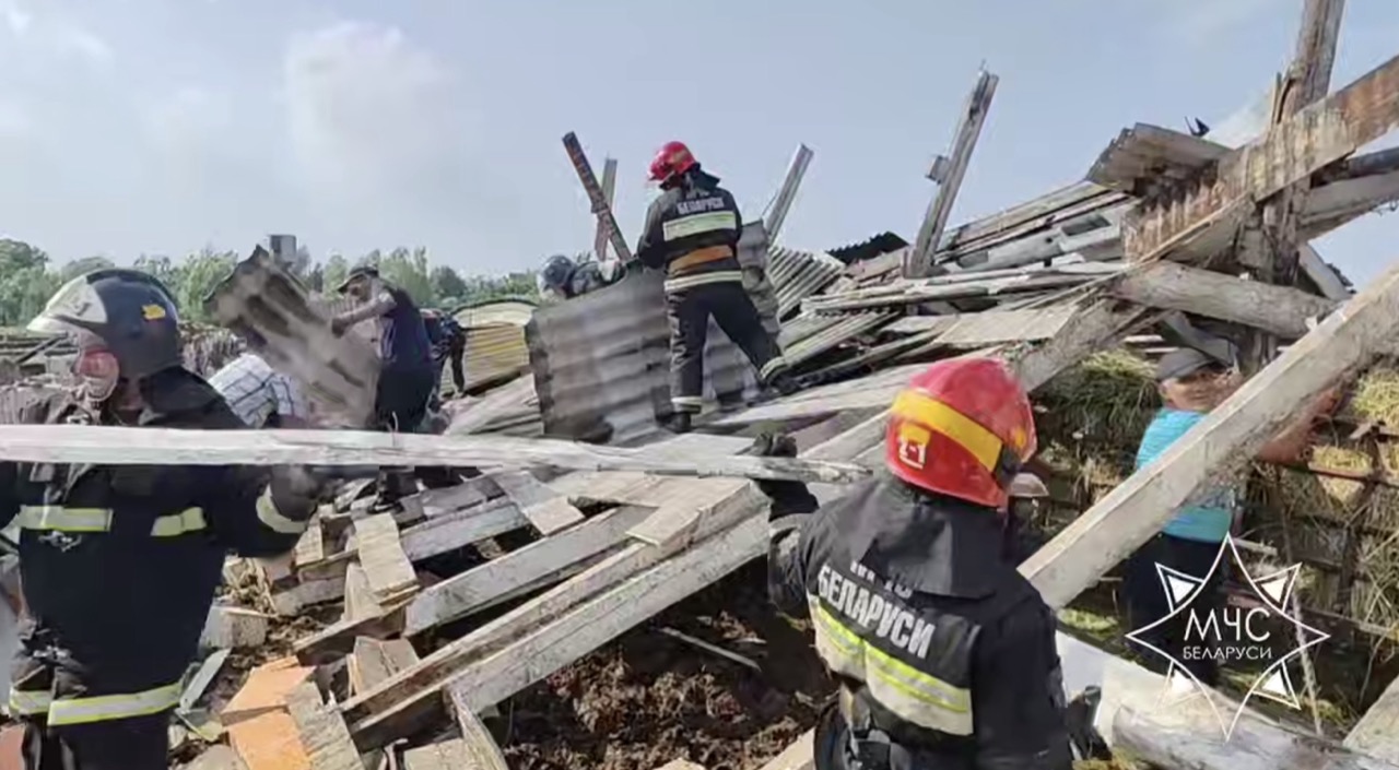 Грозовой фронт повалил деревья и снес крыши на востоке Беларуси