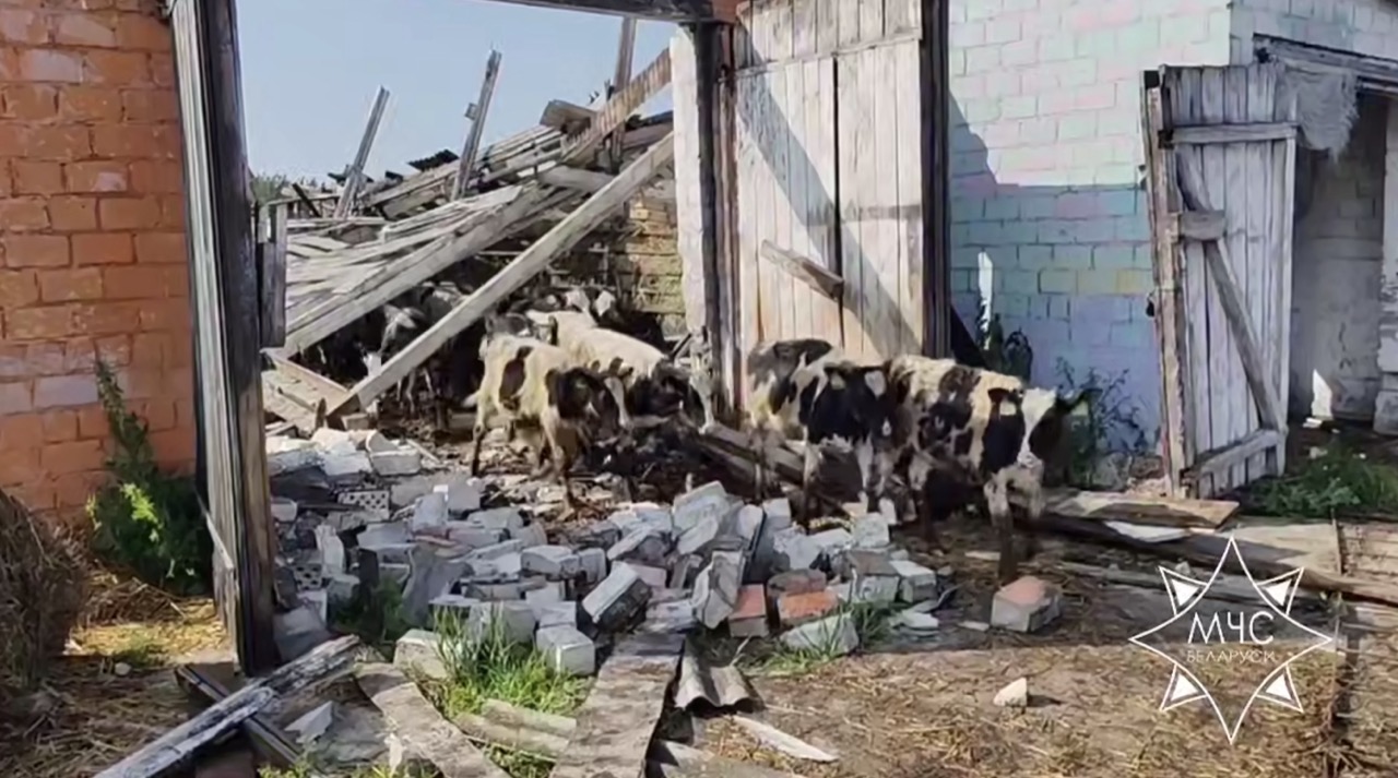 Грозовой фронт повалил деревья и снес крыши на востоке Беларуси