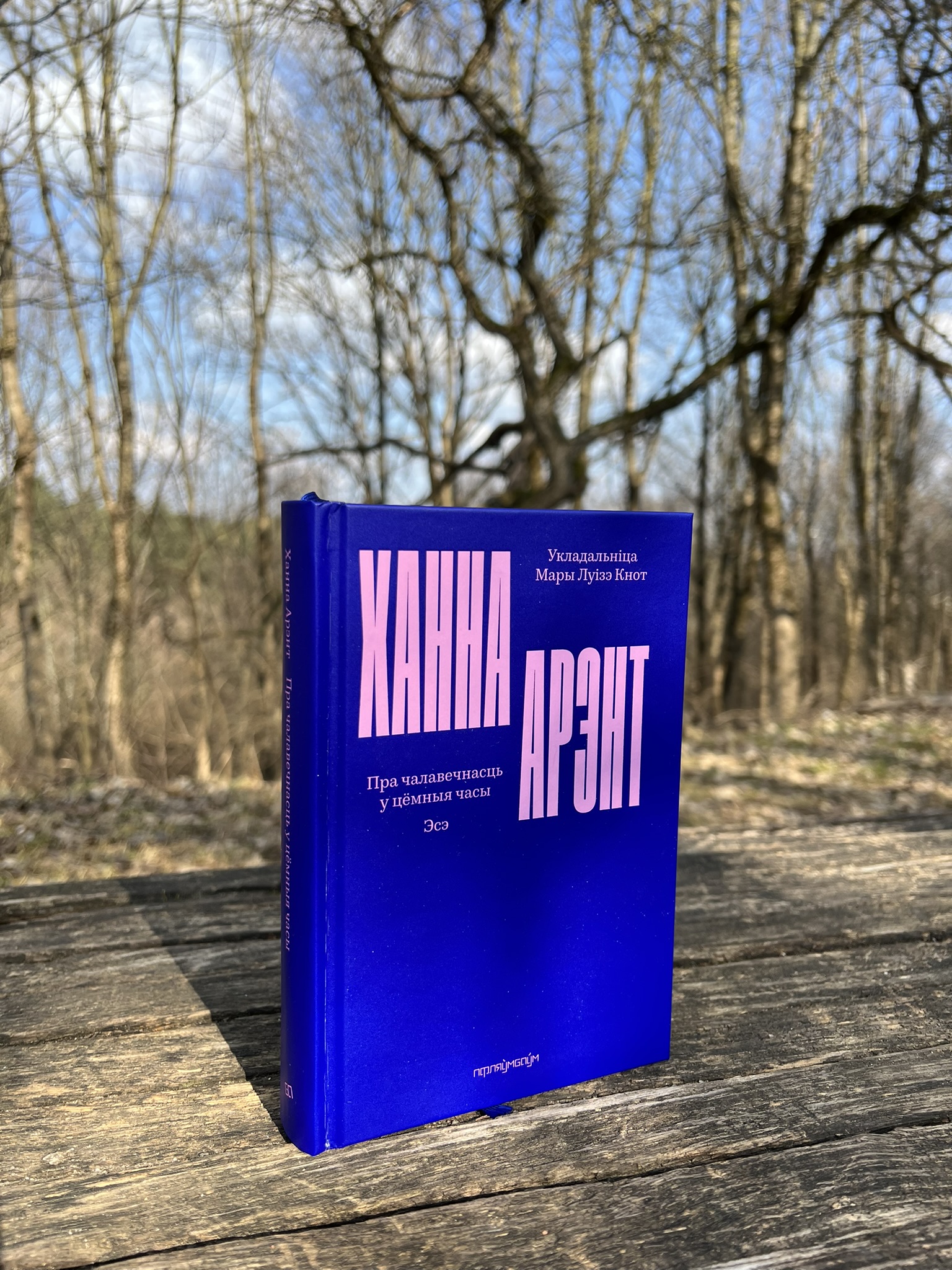 «Пра чалавечнасць у цёмныя часы». Кніга эсэ Ханны Арэнт, якая пралівае святло на ключавыя пытанні сучаснасці