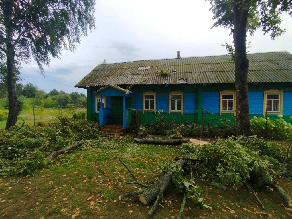 МНС: у выніку непагадзі пацярпела дзіця