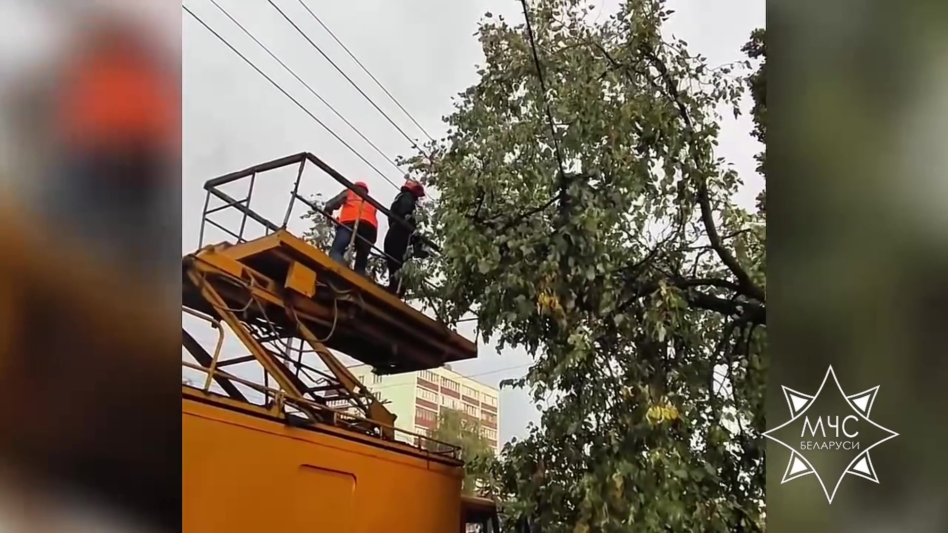 МНС: у выніку непагадзі пацярпела дзіця