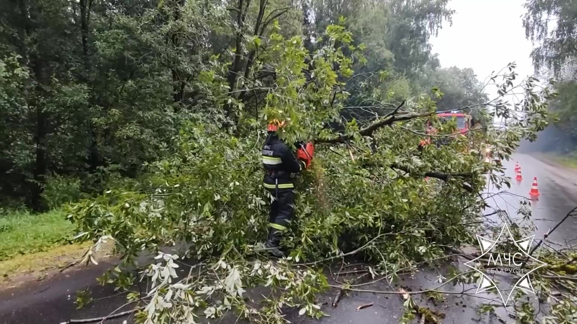 МНС: у выніку непагадзі пацярпела дзіця