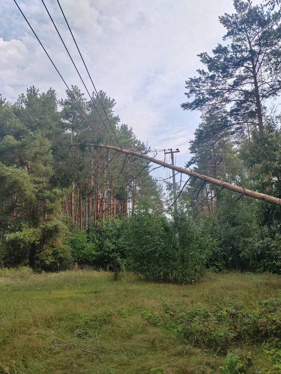В Каменецком районе восстановили электроснабжение после ночной грозы