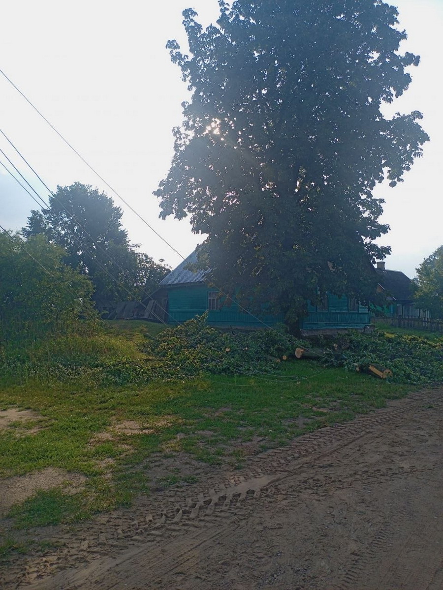 В Каменецком районе восстановили электроснабжение после ночной грозы